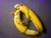 banana-couple.jpg