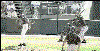 baseball-bird-strike.gif