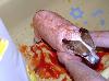 blood-dog.jpg