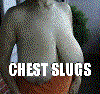 chest-slugs.gif
