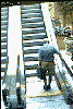 escalator.gif