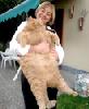 fatcat.jpg
