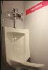 female-urinal.jpg
