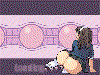 loading.gif