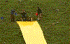 slip-and-slide.gif