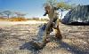 squirrel-fight-2.jpg