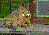 the-end.gif